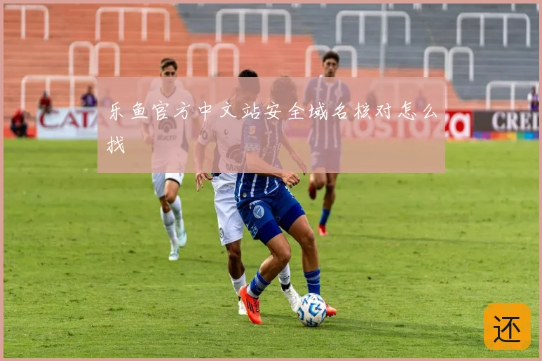 乐鱼官方中文站安全域名核对怎么找