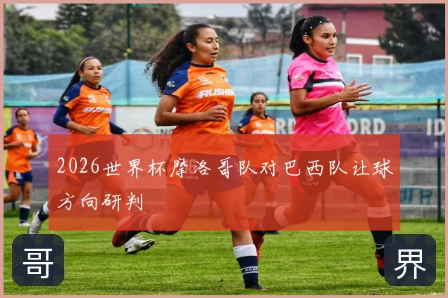 2026世界杯摩洛哥队对巴西队让球方向研判